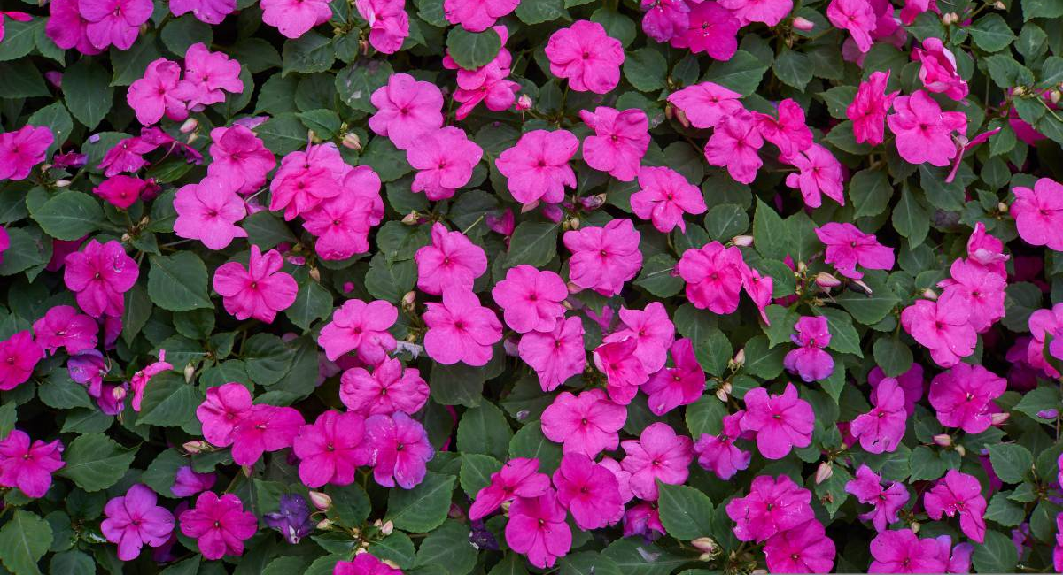 三匹空调铜管用多粗的？选对规格很关键！