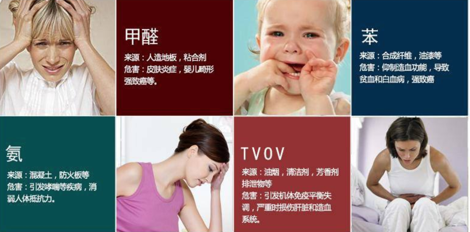 啄木鸟除甲醛价格大揭秘，你想知道吗？