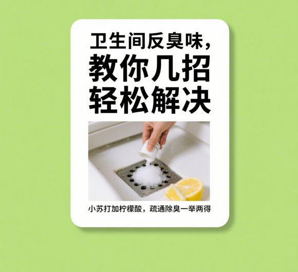告别卫生间异味：几招轻松解决反臭味问题